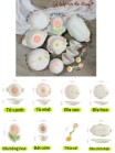 Set bộ bát đĩa hoa TULIP CAM ĐÀO pastel nhẹ nhàng sang xịn mịn