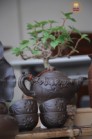 Bộ Ấm Chén Tử Sa Dáng Nhỡ Đắp Nổi Hoa Sen Lòng Gốm Kèm Khay Sen Nổi 270ml